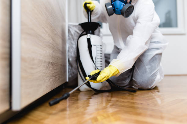 Best Cockroach Control Services  in Coarsegold, CA