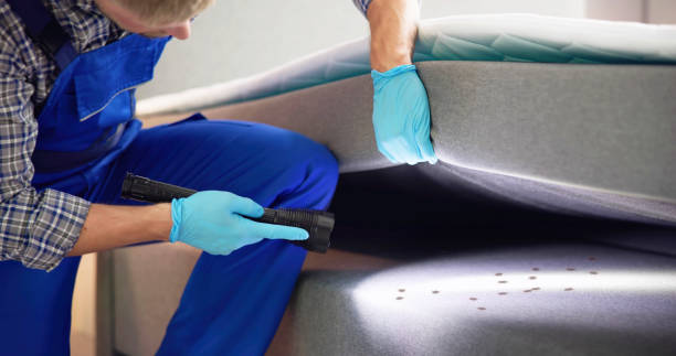 Best Ant Control Services  in Coarsegold, CA