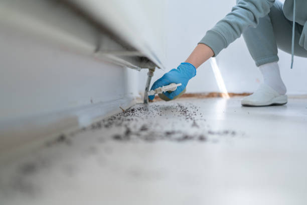Best Affordable Pest Control Services  in Coarsegold, CA