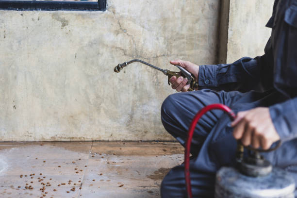 Best Pest Inspection Near Me  in Coarsegold, CA